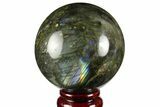 Flashy, Polished Labradorite Sphere - Great Color Play #158011-1